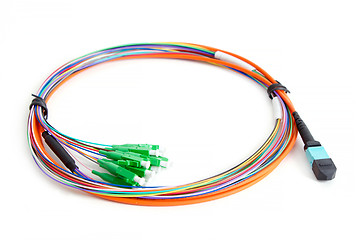 Image showing Ribbon fiber optic fun out patchcord with connector MTP
