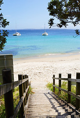 Image showing Boardwalk views Cabbage Tree beach Australia