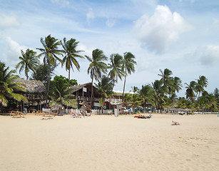 Image showing beach scenery in Sri Lanka