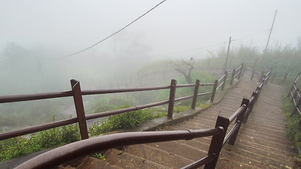 Image showing stairway in Sri Lanka
