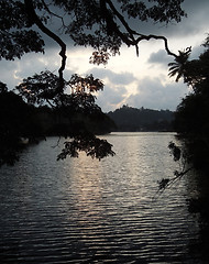 Image showing waterside scenery in Sri Lanka