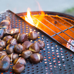 Image showing Grilling chestnuts.