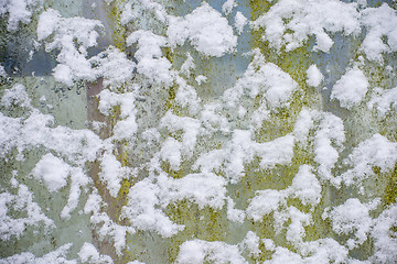 Image showing snowhats on a fence