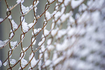 Image showing snowhats on a fence