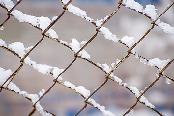 Image showing snowhats on a fence