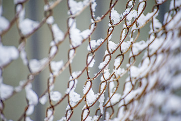 Image showing snowhats on a fence