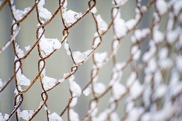 Image showing snowhats on a fence