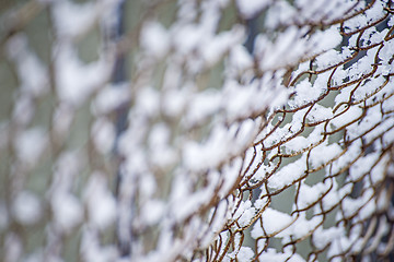 Image showing snowhats on a fence