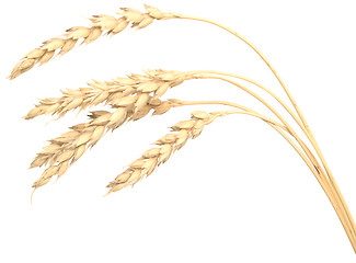 Image showing wheat