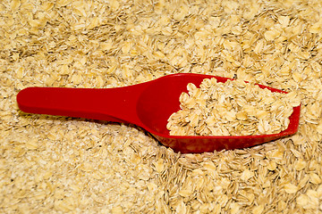 Image showing A red plastic scoop in an oceans of oats