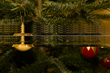 Image showing Fine globes hanging at the branches of a christmas tree