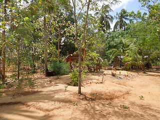 Image showing backyard in Sri Lanka