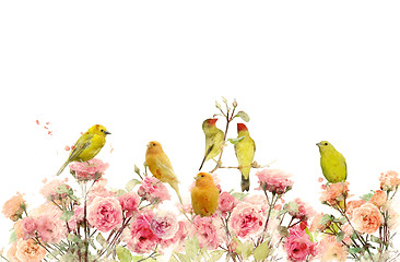 Image showing Flowers And Birds