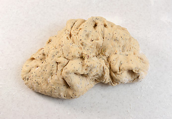 Image showing Kneaded bread dough after rising