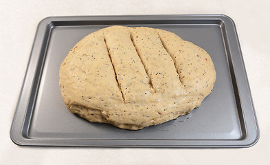 Image showing Raw bread dough ready for the oven