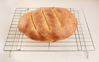 Image showing Freshly baked bread cooling after baking