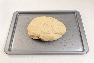 Image showing Smooth, kneaded bread dough