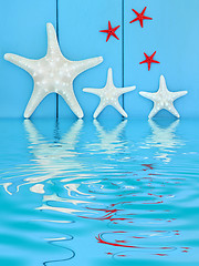 Image showing Starfish Creatues