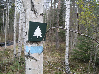 Image showing Sign on tree