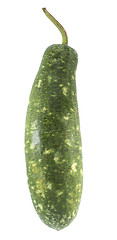 Image showing green gourd 