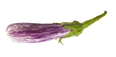 Image showing Eggplant