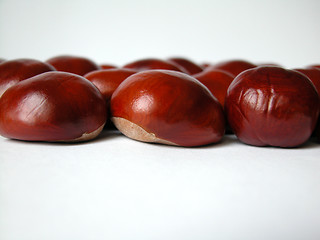 Image showing chestnuts