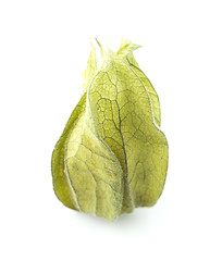 Image showing Physalis