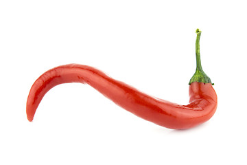Image showing Red hot chili pepper 