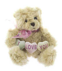 Image showing cute teddy bear