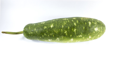 Image showing green gourd 