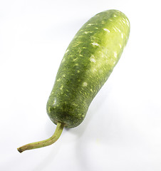 Image showing green gourd 