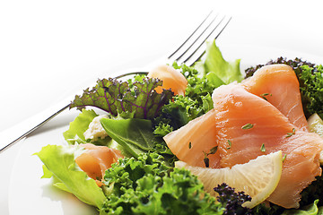 Image showing Salmon salad