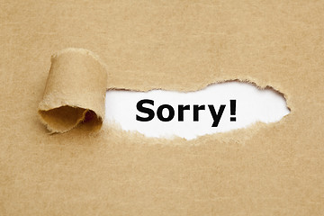 Image showing Sorry Torn Paper Concept