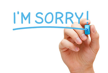 Image showing Im Sorry Blue Marker