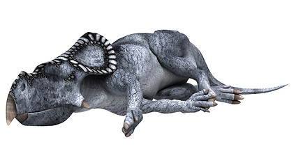 Image showing Dinosaur Protoceratops