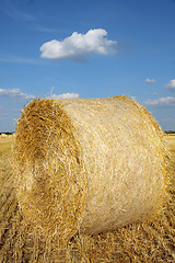 Image showing Field of freshly cut bales on farmer field