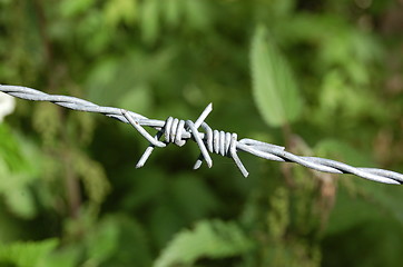 Image showing  barbed wire in forest