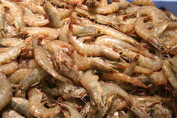 Image showing Shrimps for sale