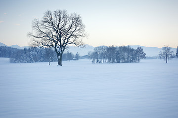 Image showing winter scenery