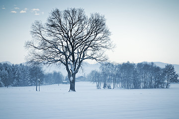 Image showing winter scenery