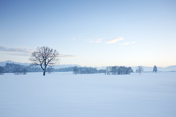 Image showing winter scenery