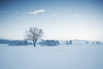 Image showing winter scenery