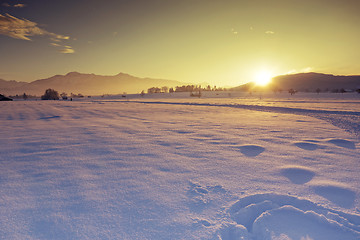 Image showing winter scenery