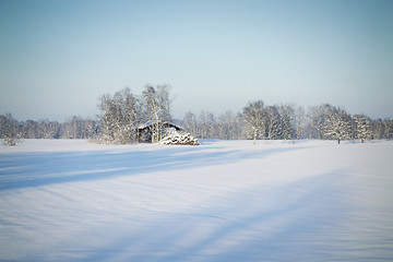 Image showing winter scenery