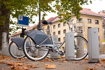 Image showing Station of urban bicycles for rent