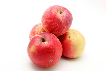 Image showing Apples