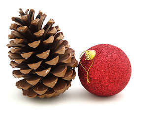 Image showing pine cone 