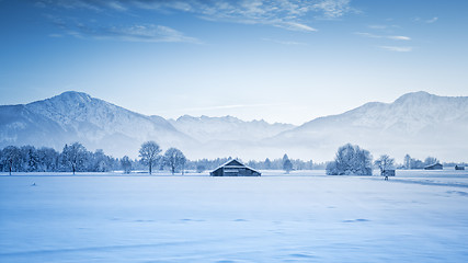 Image showing winter scenery