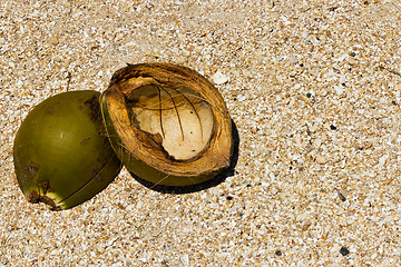 Image showing Coconut on the beach