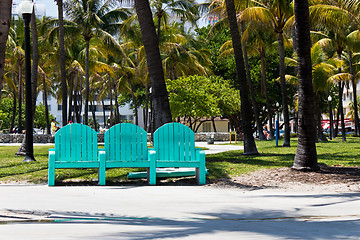Image showing Park bench among the palm trees in Miami, Florida